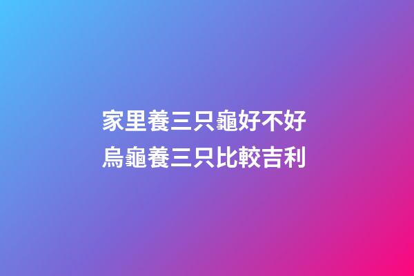 家里養三只龜好不好 烏龜養三只比較吉利